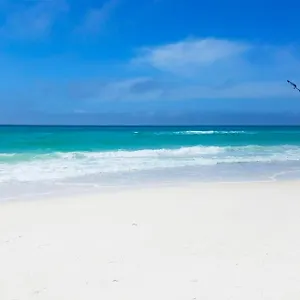 Holiday home Calypso 3-807, Panama City Beach